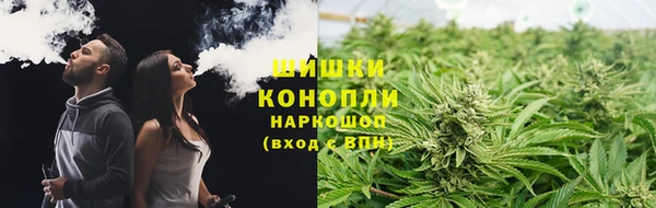 ГАЛЛЮЦИНОГЕННЫЕ ГРИБЫ Медвежьегорск