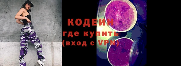 хмурый Михайловск