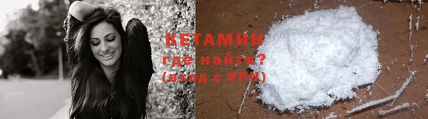 прущие грибы Михайлов
