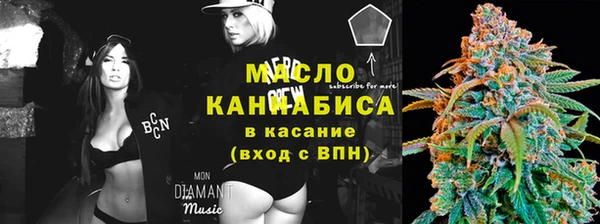 хмурый Михайловск