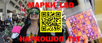 крисы Бийск