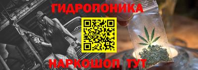 СК Волгодонск