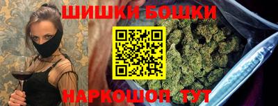 крисы Бийск