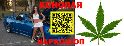 крисы Бийск
