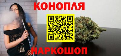 крисы Бийск