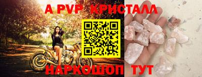 СК Волгодонск