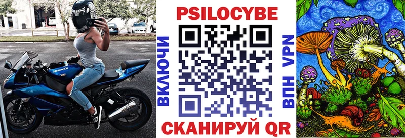 Псилоцибиновые грибы мицелий  блэк спрут маркетплейс  Новокузнецк  наркота 