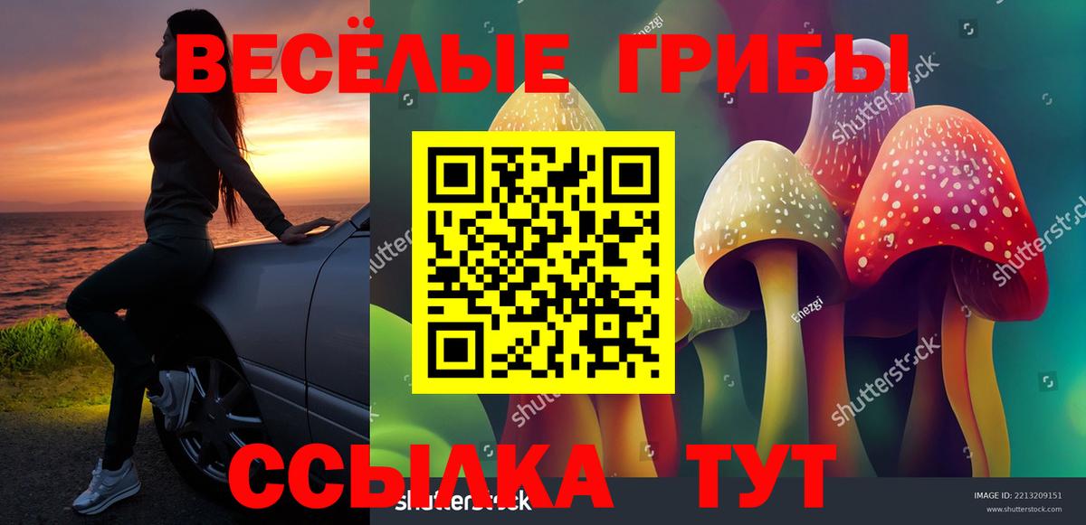 Новокузнецк  Галлюциногенные грибы ЛСД  Вход с VPN 