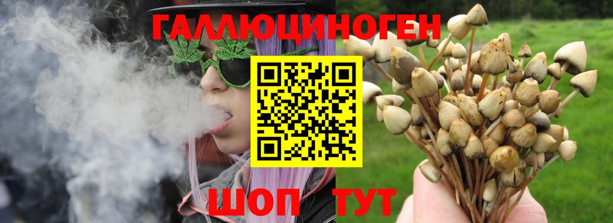 Галлюциногенные грибы мицелий Новокузнецк