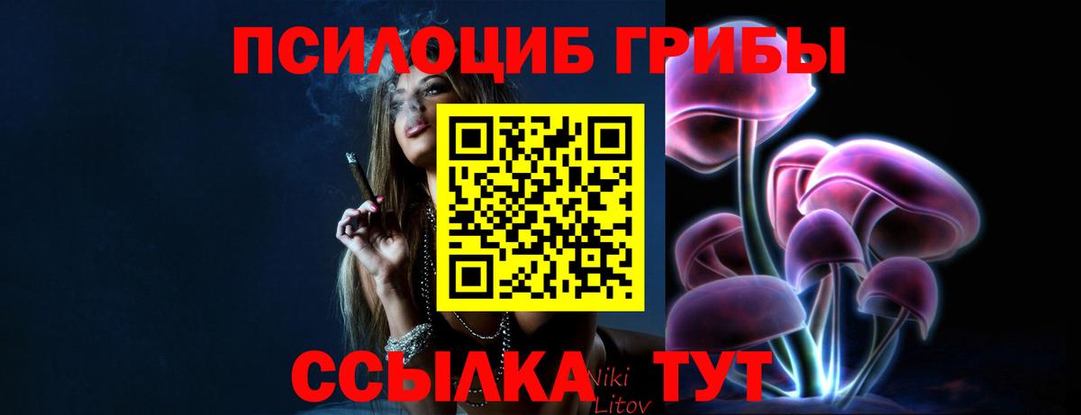 Псилоцибиновые грибы MAGIC MUSHROOMS Новокузнецк