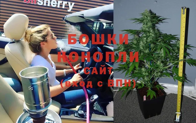 закладка  Новокузнецк  Шишки марихуана SATIVA & INDICA 